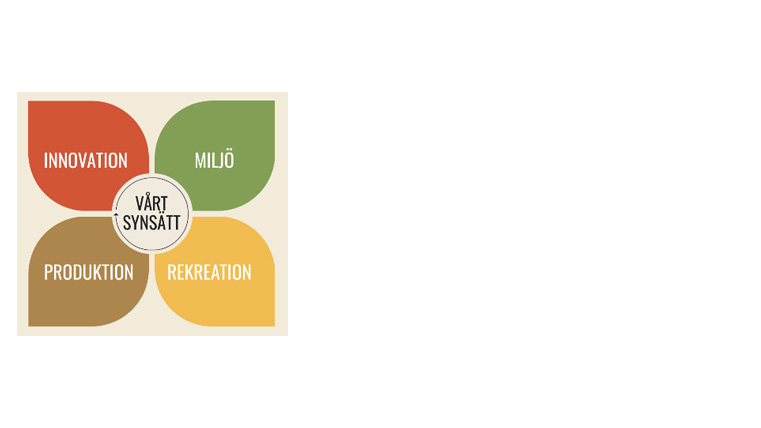 Fyrklöver som visar hur innovation,  miljö, produktion och  rekreation är en del av Skånsk skogsstrategis synsätt.