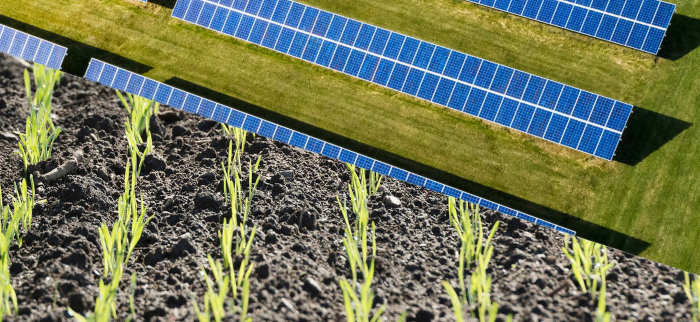Collage med åkermark och solceller.
