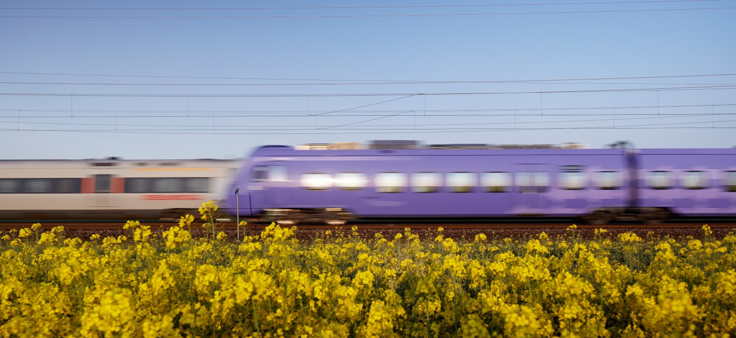 Två tåg möts med ett rapsfält  framgrunden