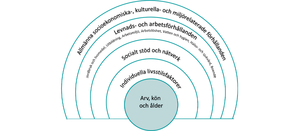 Figur över hälsans bestämningsfaktorer