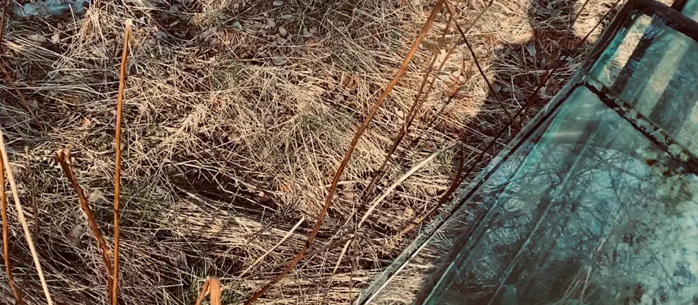 En närbild på högt brunt gräs och gamla rostiga metallramar med glas. En svart skugga av en människa syns över glasen.