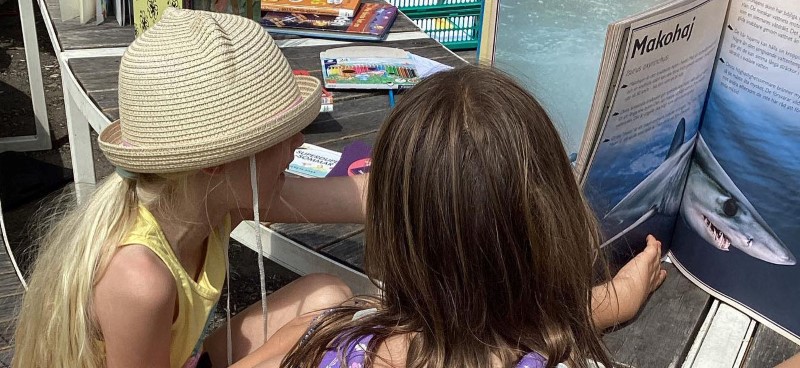 Två flickor läser i en bok tillsammans