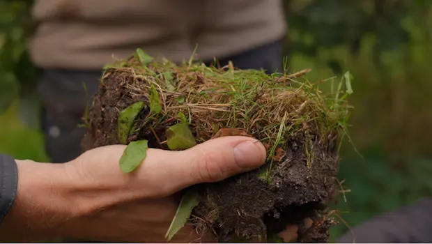 Hand håller upp jordkaka.