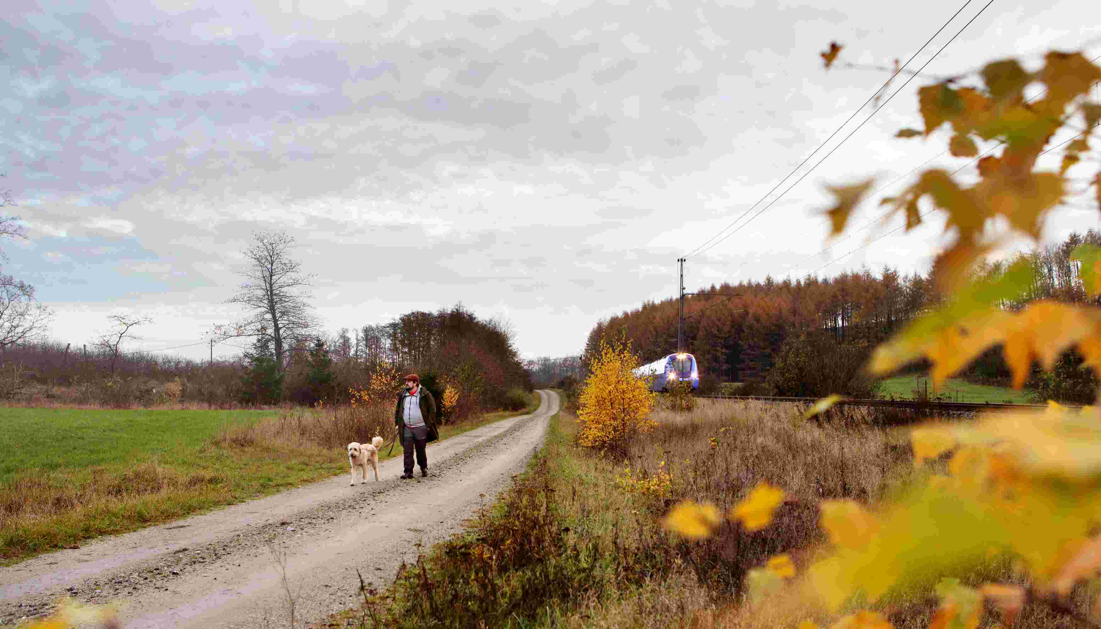 Man promenerar med hund på landsbygden.