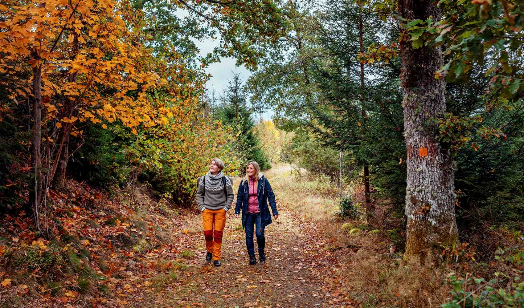 Två personer på promenad i en skog.