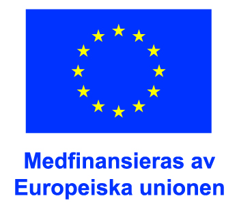 EU-flagga