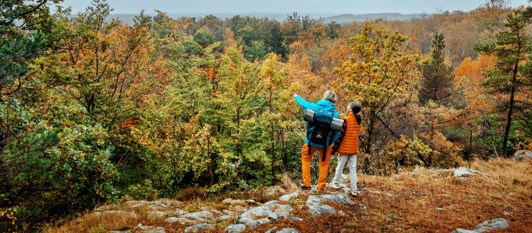 Bild på skog och Skåneled.