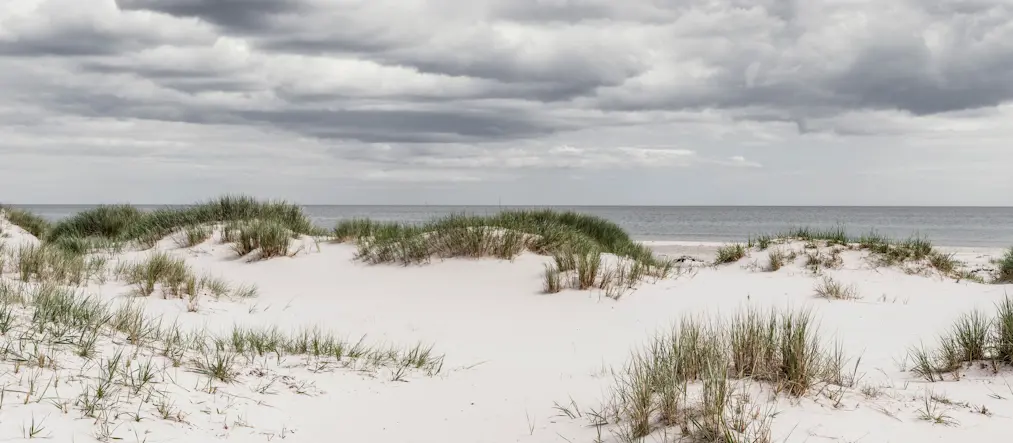 Vit sandstrand i mulet väder
