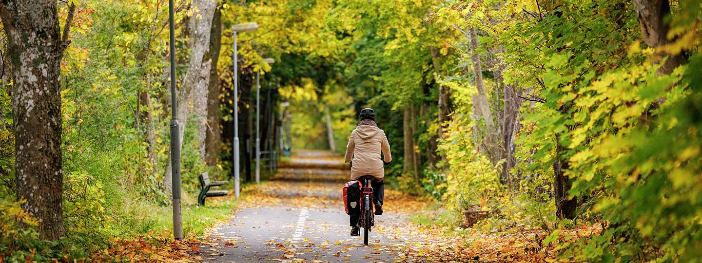 Kvinna cyklar på asfalterad väg genom vacker skog. 