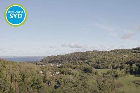 Skog och himmel i bakgrunden, Elbilslandets logotyp i framgrunden.