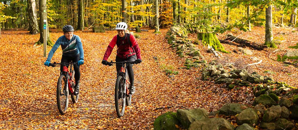 Två äldre personer cyklar genom höstskog full av vackra löv. 