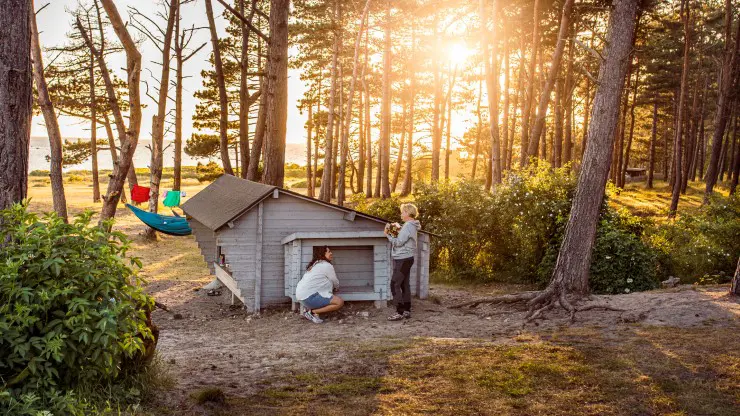 Två personer gör sig redo för att sova i en vindskydd i skogen. Solen håller på att gå ner bakom träden.