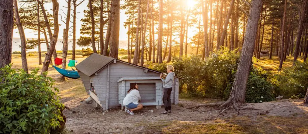 Två personer gör sig redo för att sova i en vindskydd i skogen. Solen håller på att gå ner bakom träden.