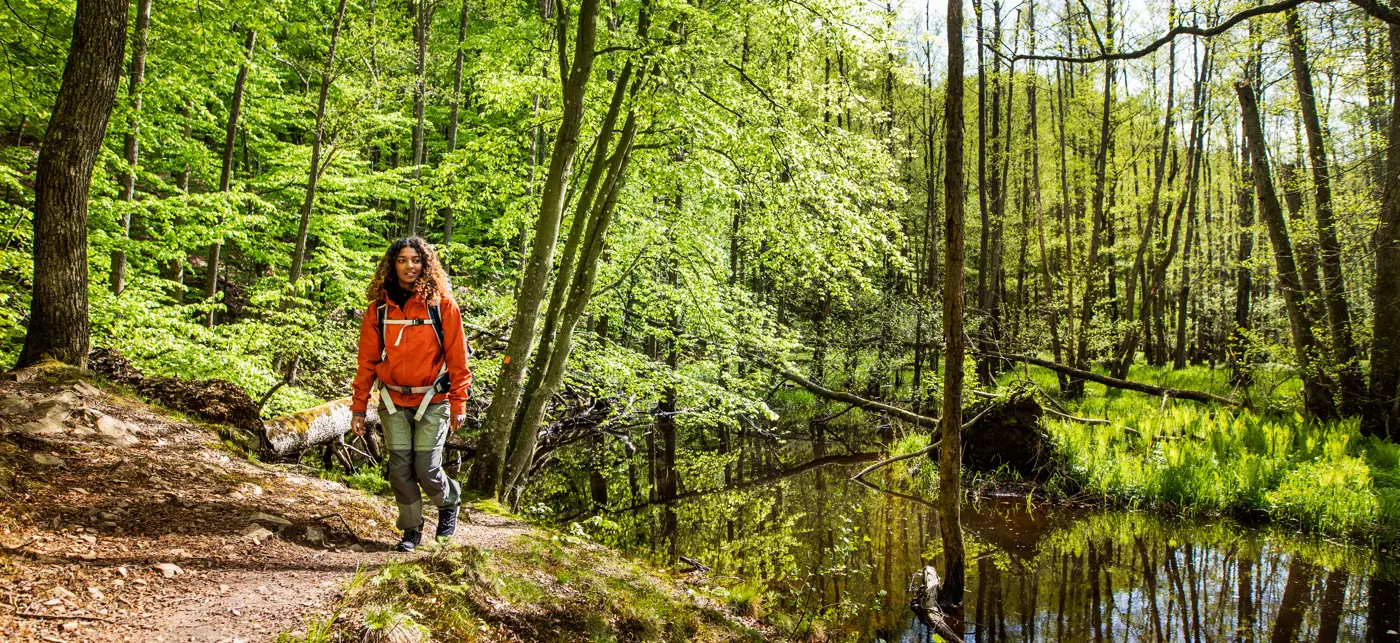 Kvinna i grönt skogslandskap