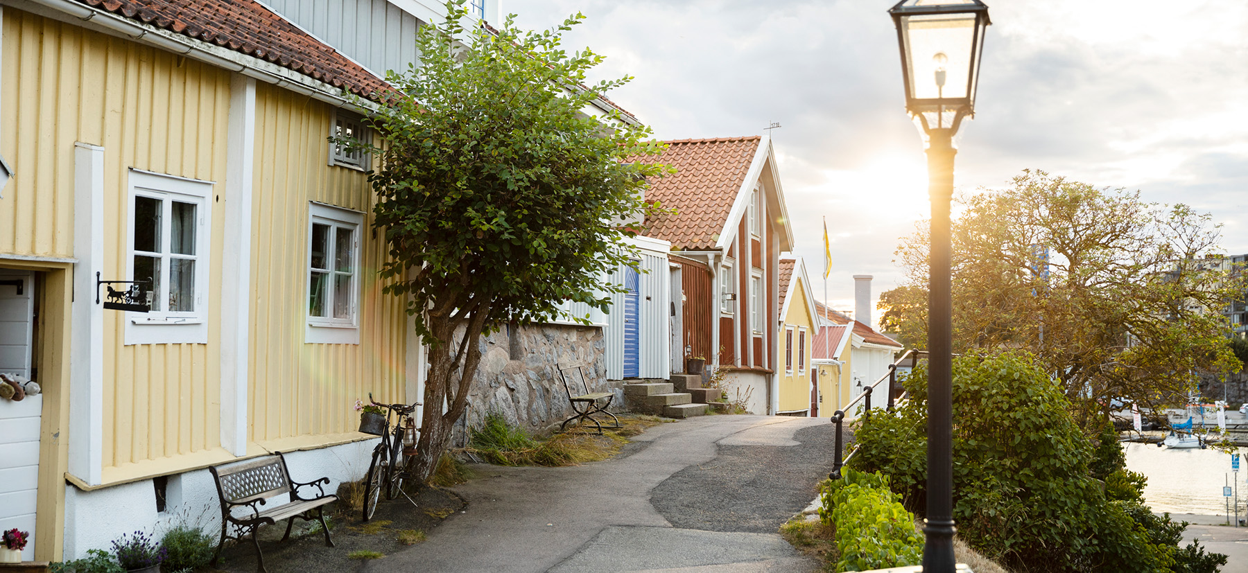 Färgglada hus i en hamn.